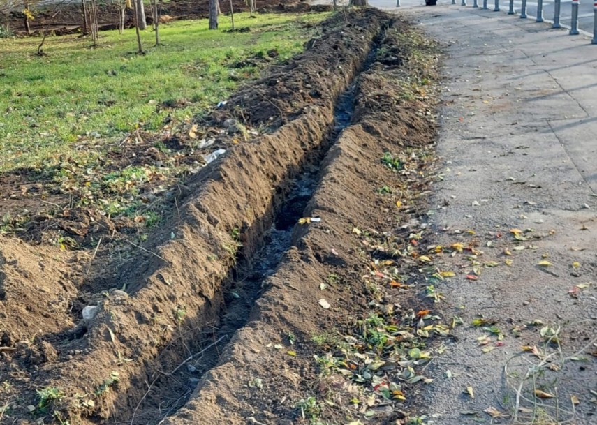 echipele primariei constanta mobilizate pentru imbunatatirea spatiilor verzi din oras 6745de7aa7165