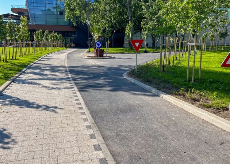 lucrarile de reabilitare a parcului tabacarie vor fi gata in primavara anului viitor 674a4a6cb7649