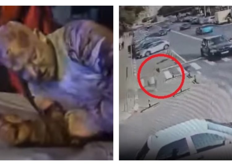 video barbatul care si a dat foc intr o sala de jocuri de noroc din navodari este cel care s a aruncat acum cateva luni in fata masinii vezi cine e cel care filma 675b66f38c535