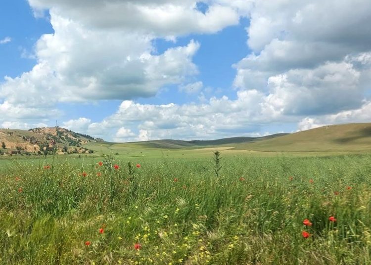 motociclist amendat pentru ca se afla intr o arie protejata din muntii macin ce a declarat in instanta 6796c4ef6acd8