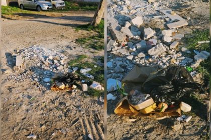 au disparut ghenele si pubelele din anumite zone ale orasului cetatenii revoltati ne plimbam cu gunoiul dupa noi 67e7200779b57