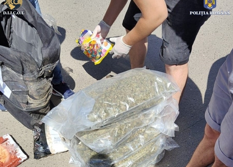 dobrita constantin si bajenaru condamnati pentru trafic international de droguri au adus canabis din spania pentru a l vinde la constanta 67e602135d845