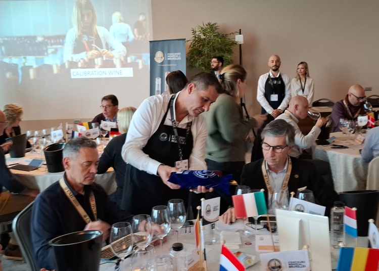 galerie foto video degustatori din toate tarile au venit la constanta pentru a degusta vinuri roze si pentru a cunoaste diversitatea dobrogei in materie de vinuri 67e6620de8eea