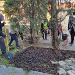 lucratorii gospodariei comunale valu lui traian au demarat actiunea de curatenie de primavara in intreaga localitate 67e287461c3f4