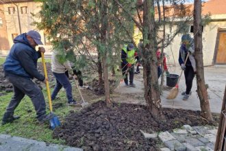 lucratorii gospodariei comunale valu lui traian au demarat actiunea de curatenie de primavara in intreaga localitate 67e287461c3f4