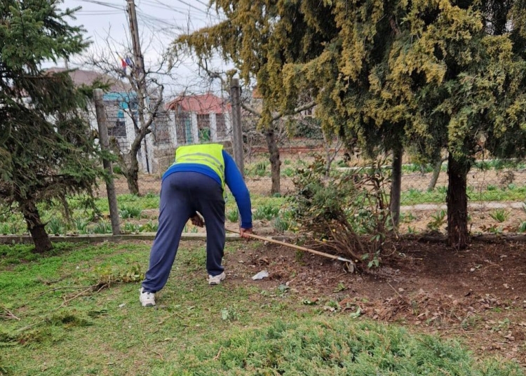 lucratorii gospodariei comunale valu lui traian desfasoara in aceste zile lucrari de plantare a salcamilor 67ea9a8a57c4d