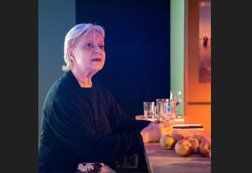 nina udrescu actrita la teatrul de stat constanta schimba