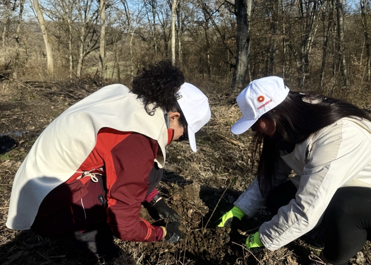 rompetrol isi reafirma angajamentul pentru mediu si cultura printr o noua actiune de impadurire la reghin 67e15c6bbb65d