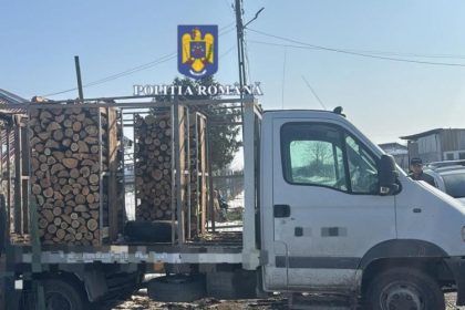 surprinsi cu masinile pline cu lemne dar fara documente de provenienta oprite in trafic la constanta 67c843041fb58