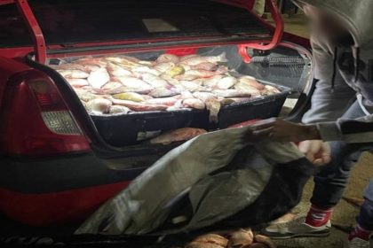surprinsi la navodari cu portbagajul plin cu peste fara documente de provenienta 67e51075643f6