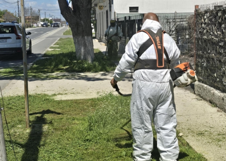 actiuni ample de intretinere urbana corbu o comuna mai verde si mai curata 6811e95de2378