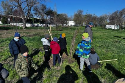 asociatia viitorul orasului tau a organizat deja mai multe plantari in acest an 680fc6190c364