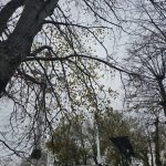 atentionare cod galben de intensificari ale vantului 6802187d5a688