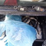 barbati care vindeau ilegal 80 kg de peste descoperiti de jandarmii constanteni in medgidia 67f9740141e81