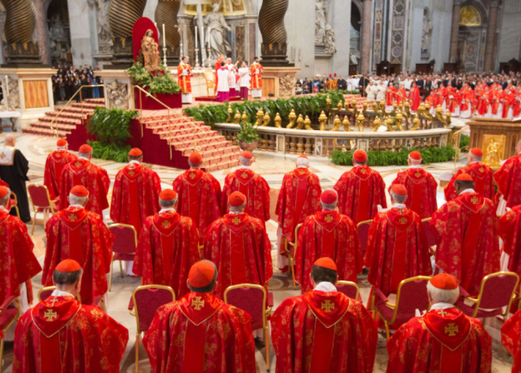 cardinalii se reunesc pentru a lua o decizie importanta cerinta deosebita din testamentul papei francisc 68067ea9bb223