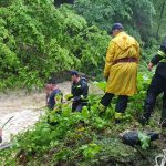 cod galben de viituri in 11 bazine hidrografice si pe raurile din dobrogea 680bf4b86a15e