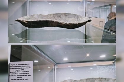 copaie din lemn veche de 1 600 de ani descoperita in centrul orasului proteja osemintele unui prunc 67eb20c67101a