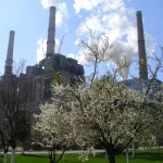 decizie fara precedent in sistemul energetic autoritatile se tem de un blackout in zilele urmatoare 68048b73e17ec