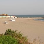 iata care sunt castigatorii licitatiei de inchiriere a plajelor din constanta reyna a pierdut subsectorul 680221842e68d