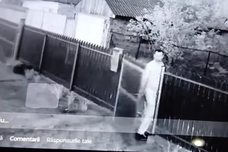 incident socant in judetul tulcea un barbat a intrat in curtea vecinilor si le a omorat cateii 6807bda1a826f