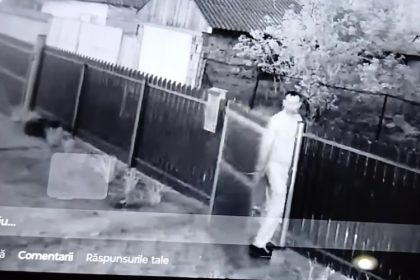 incident socant in judetul tulcea un barbat a intrat in curtea vecinilor si le a omorat cateii 6807bda1a826f