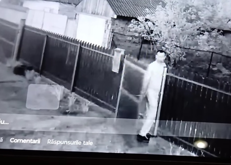 incident socant in judetul tulcea un barbat a intrat in curtea vecinilor si le a omorat cateii 6807bda1a826f