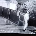 individul din judetul tulcea care a omorat cateii vecinilor a fost arestat la domiciliu pentru 30 de zile 680a6d84873e0