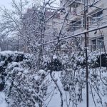 meteorologii anunta ninsoare in zonele montane in minivacanta de 1 mai 680bb0c0ee443