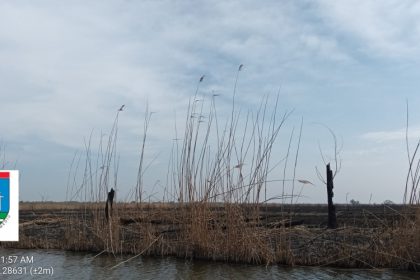 o firma a fost amendata cu 100 000 de lei pentru incendierea vegetatiei in delta dunarii 67ee48a842d66
