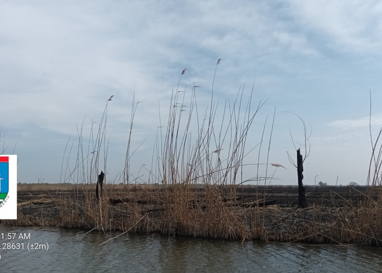 o firma a fost amendata cu 100 000 de lei pentru incendierea vegetatiei in delta dunarii 67ee48a842d66