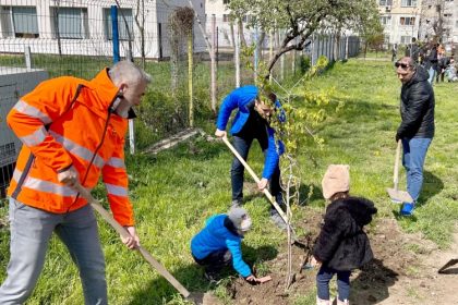peste 300 de arbori vor fi plantati in aceste zile pe aliniamentele stradale din constanta 67f6491c15335