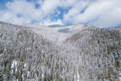 romsilva a cumparat in numele statului roman peste patru mii hectare de padure in judetul neamt 67f8ef9aee644
