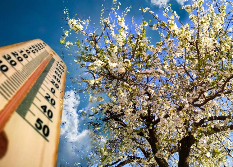 vremea se incalzeste dupa valul de frig sunt asteptate temperaturi de pana la 20 de grade 67fc2d7511b2d