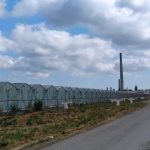 administratia locala vrea sa revitalizeze si zona agro industriala a municipiului dar se impotmoleste pe drum 683395dc873a8