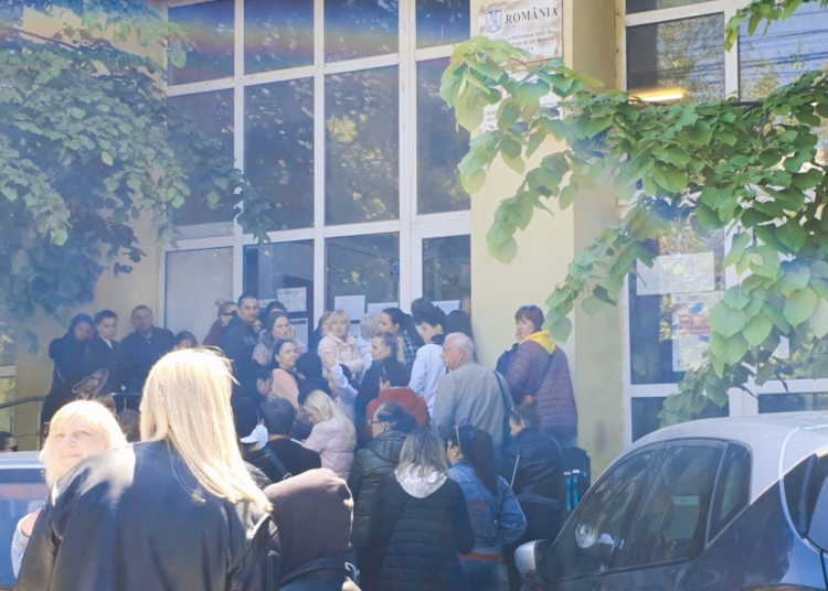 cati someri are constanta si de ce le este greu tinerilor sa intre in piata muncii 682117953d019