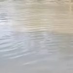 cod rosu de inundatii pe rauri din romania s a emis alerta pentru toata tara 68342cccc015e