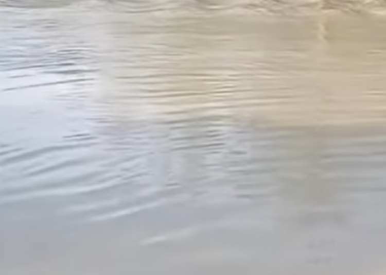 cod rosu de inundatii pe rauri din romania s a emis alerta pentru toata tara 68342cccc015e