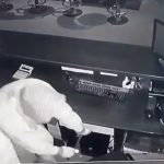 condamnari grele dupa un jaf organizat victima o varstnica pradata cu ajutorul propriei ingrijitoare 681d312d637c1