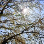 cum va fi vremea in iunie estimarile meteorologilor pentru prima luna de vara 6830177d9e440
