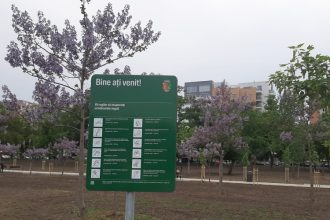 foto video explozie de culoare arborii ornamentali atractia principala in parcul tabacarie 681af3cde6926