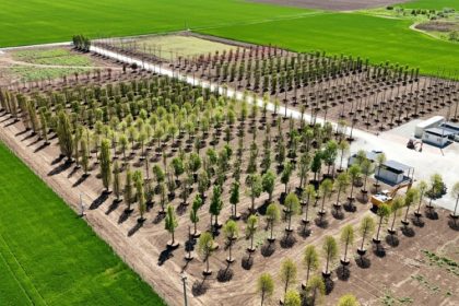 iulius pune bazele viitorului proiect de regenerare urbana din constanta s a amenajat prima pepiniera dendrologica privata din dobrogea care gazduieste 1 100 arbori pentru noua dezvoltare 682ecbda4d1c2
