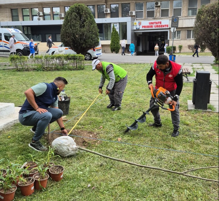 presedintele cj constanta florin mitroi spatiul verde din curtea spitalului se amenajeaza gratuit in colaborare cu un ong de profil 68274af98c3ac