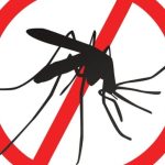primaria cernavoda va aplica tratament pentru combaterea insectelor 68304e90b2d91
