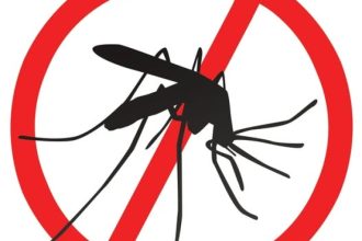 primaria cernavoda va aplica tratament pentru combaterea insectelor 68304e90b2d91