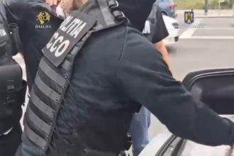 video flagrant si perchezitii in constanta un alt lot de canabis a sosit din spania 681e32a093ba1