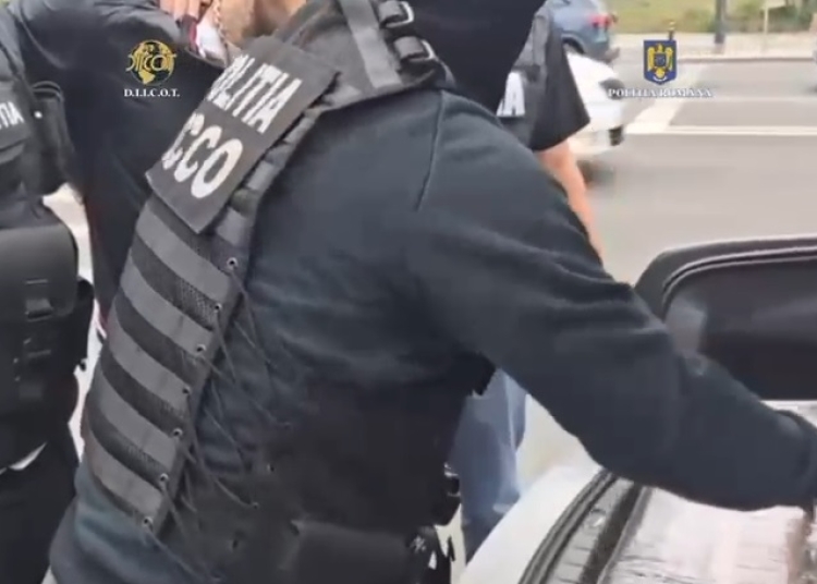 video flagrant si perchezitii in constanta un alt lot de canabis a sosit din spania 681e32a093ba1