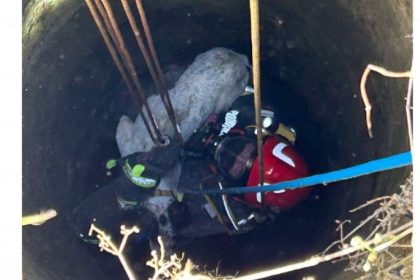 video interventie reusita caine salvat de isu dobrogea langa cumpana 682c67a809d6e