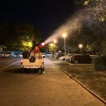 actiunile de dezinsectie continua in municipiul constanta si statiunea mamaia 6851594158cd7