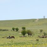 aproape si a omorat fosta iubita pe camp dar nu mai vrea la inchisoare judecatorii au alta parere 68416ec2a54d2