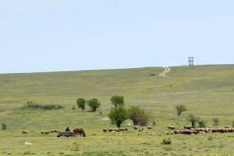 aproape si a omorat fosta iubita pe camp dar nu mai vrea la inchisoare judecatorii au alta parere 68416ec2a54d2